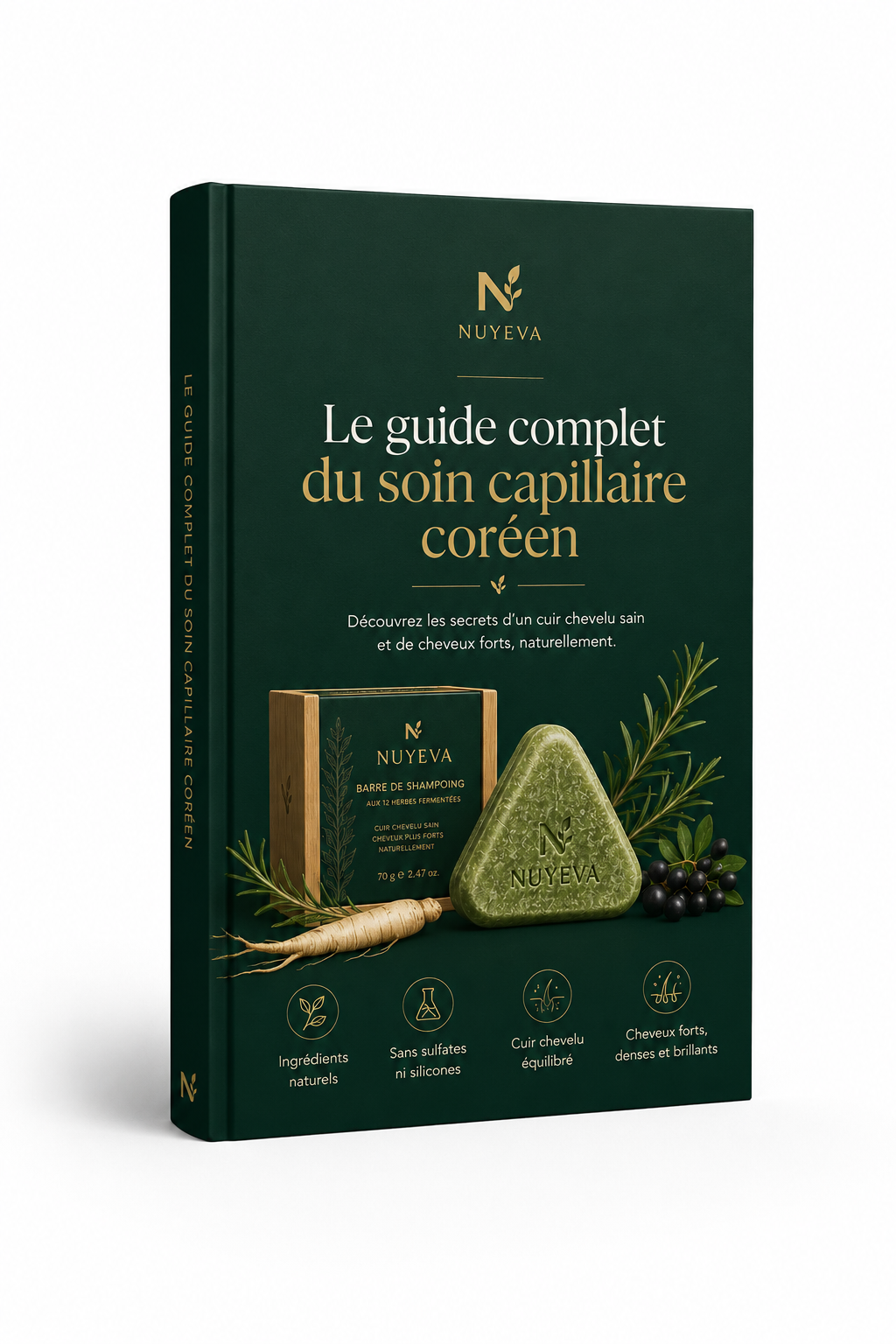 E BOOK : RACINE — Le guide du cuir chevelu sain